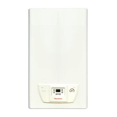 ::Котел газовий IMMERGAS MINI NIKE 24 3Е димохідний