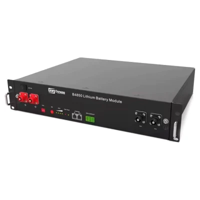 ::Акумуляторна батарея DYNESS B4850 LiFePO4 48V/50AH 2.4кВт