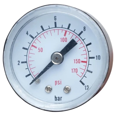 ::Манометр для контролера WETRON 12 бар 40мм