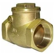 Зворотній клапан KARRO 2" пелюстковий