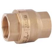 Зворотній клапан HERZ 1 1/4" пружинний