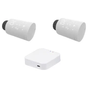 КомплектTervix Proline EVA2 (2 шт)+контролер ZigBee Gateway